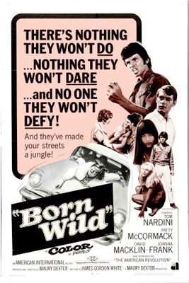The Young Animals movie poster (1968) canvas poster
