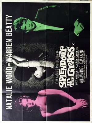 Splendor in the Grass movie poster (1961) metal framed poster
