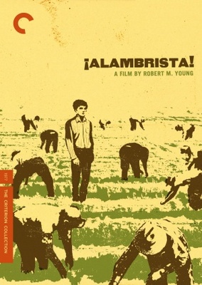 Alambrista! movie poster (1977) metal framed poster