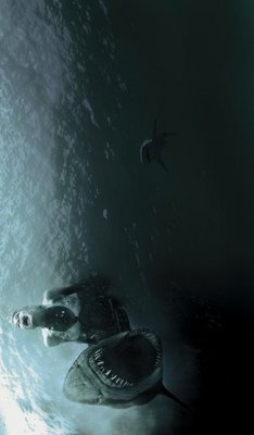 Shark Night 3D movie poster (2011) wood print