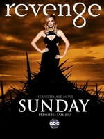 Revenge movie poster (2011) tote bag #MOV_fcb8f490