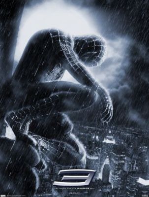 Spider-Man 3 movie poster (2007) puzzle MOV_fd1905cf