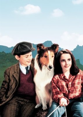 Lassie Come Home movie poster (1943) wood print