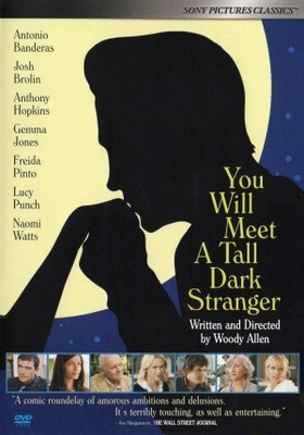 You Will Meet a Tall Dark Stranger movie poster (2010) pillow