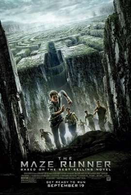The Maze Runner movie poster (2014) puzzle MOV_fe41cf34