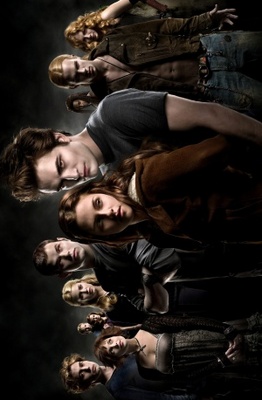 Twilight movie poster (2008) pillow
