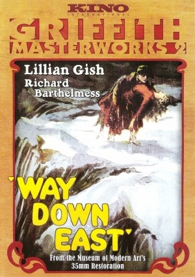 Way Down East movie poster (1920) wood print
