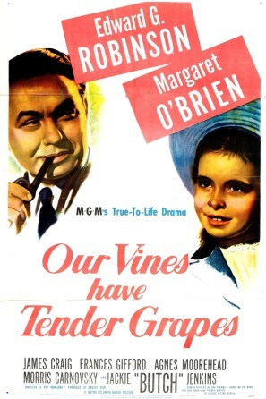 Our Vines Have Tender Grapes movie poster (1945) wooden framed poster