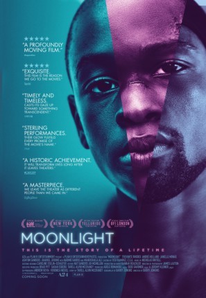 Moonlight movie poster (2016) metal framed poster