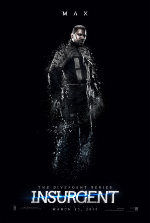 Insurgent movie poster (2015) puzzle MOV_kpqrblmj