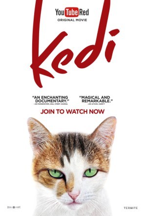 Kedi movie poster (2017) canvas poster