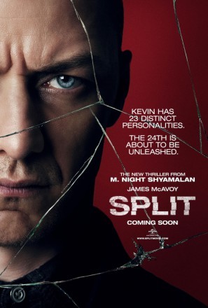 Split movie poster (2017) wooden framed poster