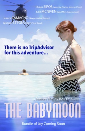 The Babymoon movie poster (2017) Poster MOV_oebvalcs