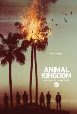 Animal Kingdom movie poster (2016) wood print