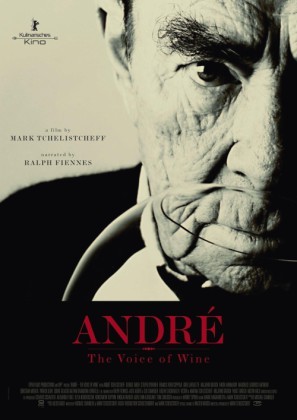 Andr&eacute; movie poster (2013) Poster MOV_pieenqzn