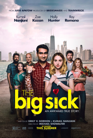 The Big Sick movie poster (2017) wooden framed poster