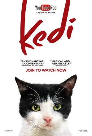 Kedi movie poster (2017) canvas poster