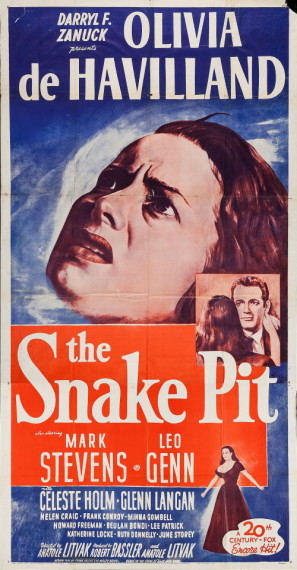 The Snake Pit movie poster (1948) wooden framed poster