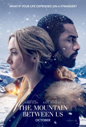 The Mountain Between Us movie poster (2017) poster with hanger