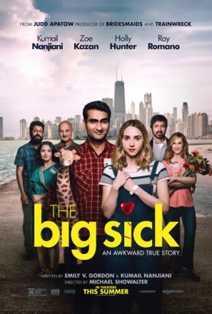 The Big Sick movie poster (2017) wooden framed poster