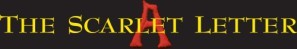 The Scarlet Letter movie poster (1995) mug