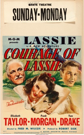 Courage of Lassie movie poster (1946) canvas poster