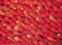 Strawberry hoodie #246833