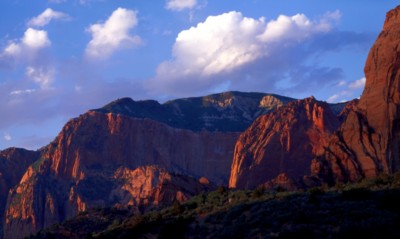 Zion National Park Poster PH14492309