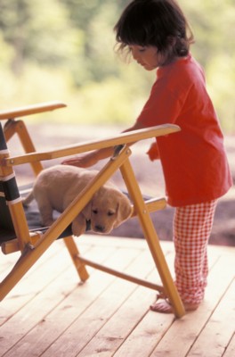Dog & Puppy poster
