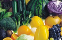 Fruits & Vegetables other hoodie #249296