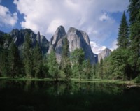 Yosemite National Park sweatshirt #249827
