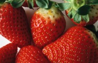 Strawberry Mouse Pad PH7373326