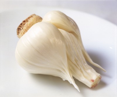 Garlic poster
