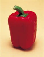 Peppers & Chiles Mouse Pad PH7440429
