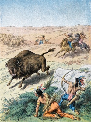 Buffalo & Bison Poster PH7446438