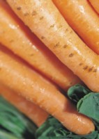 Carrot tote bag #PH7490283