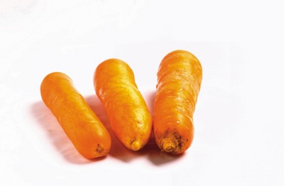 Carrot pillow