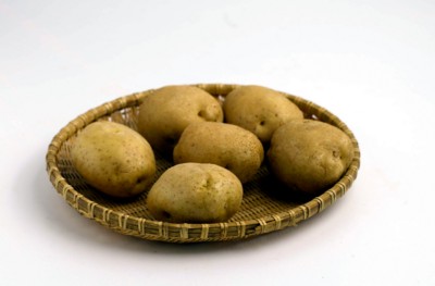 Potato Stickers PH7525018