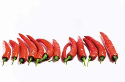 Peppers & Chiles Stickers PH7525531