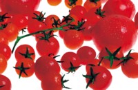 Tomato tote bag #PH7525647