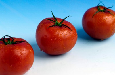 Tomato Stickers PH7525798
