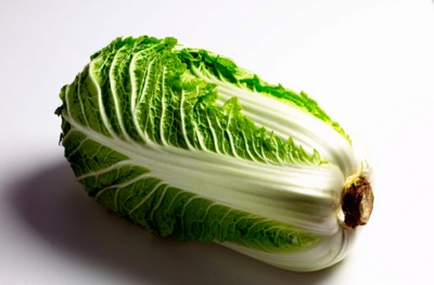 Cabbage Poster PH7527157