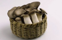 Mushroom tote bag #PH7527253