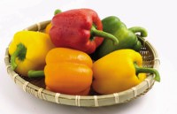 Peppers & Chiles Mouse Pad PH7528945