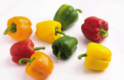 Peppers & Chiles Poster PH7529029