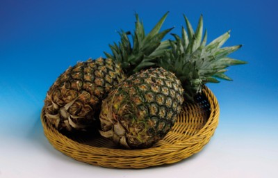 Pineapple mouse pad