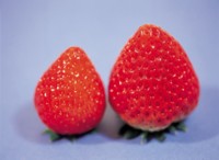 Strawberry Mouse Pad PH7642999