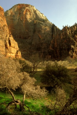 Zion National Park Poster PH7645727
