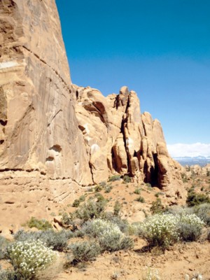Arches National Park poster