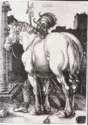 Horse metal framed poster